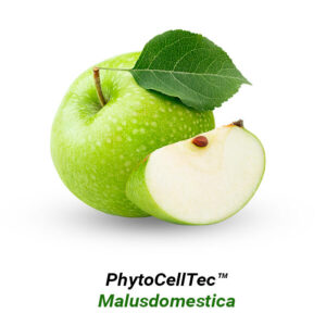 Malusdomestica Apple-
