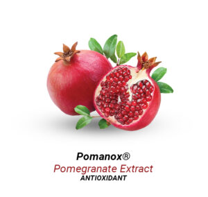 Pomegranate-Extract