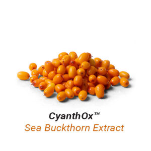 Sea-Buckthorn-Extract
